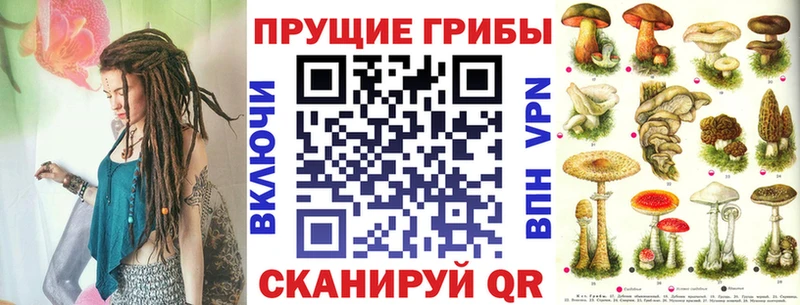 Купить закладки  Кировград  Галлюциногенные грибы прущие грибы 