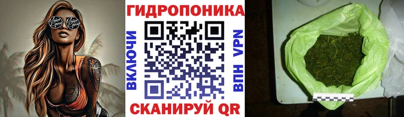 Купить закладки  Кировград  Бошки марихуана семена 